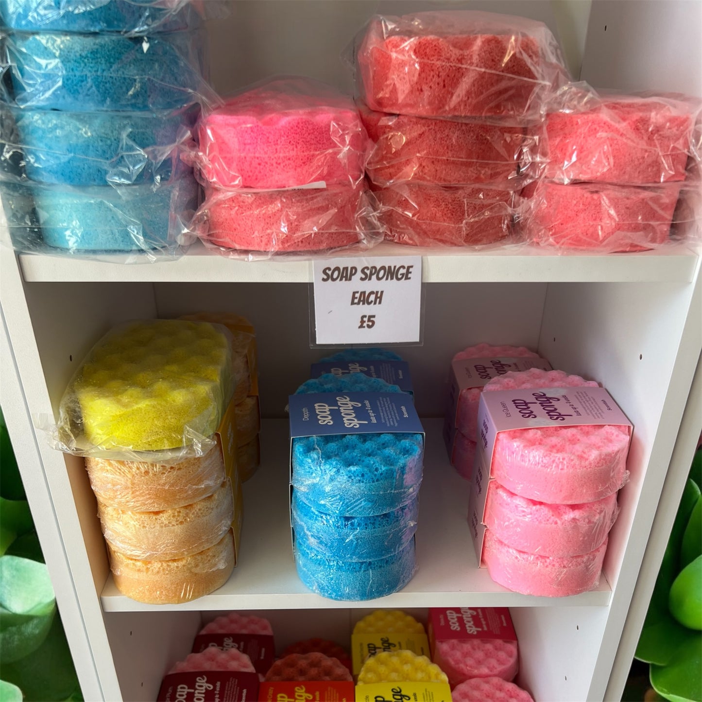 soap sponges